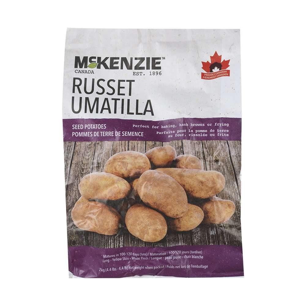 Russet Umatilla Seed Potatoes 2&nbsp;kg