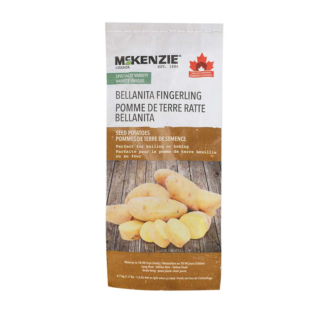 Pommes de terre de semence Bellanita Fingerling