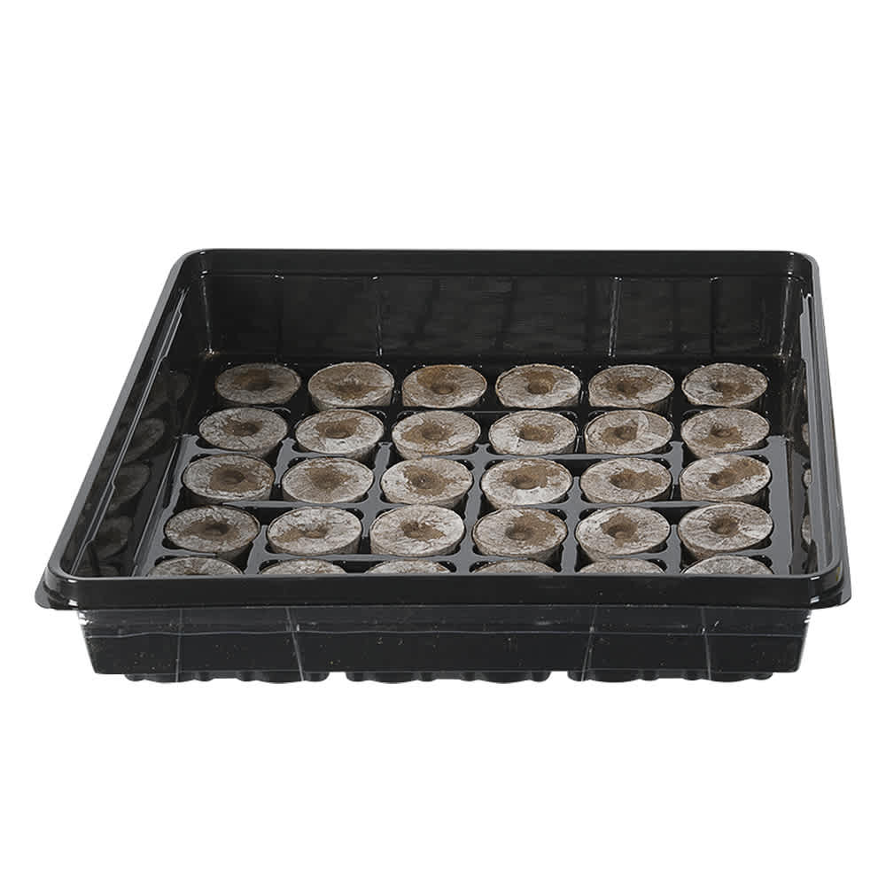 Serre professionnelle 10,8&nbsp;po&nbsp;x&nbsp;11&nbsp;po 36 pastilles