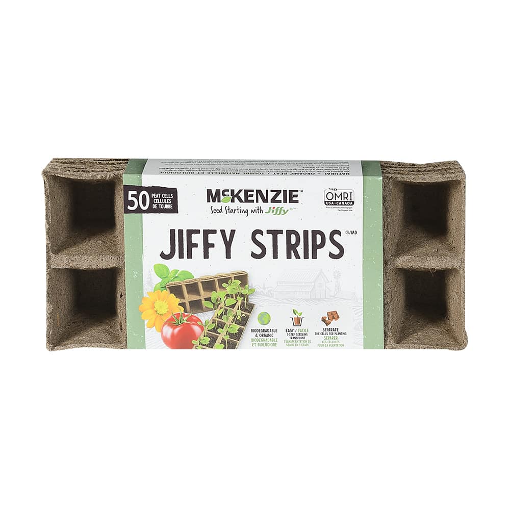 Pots d'ensemencement en bandes 4&nbsp;po x 10&nbsp;po x 4&nbsp;po