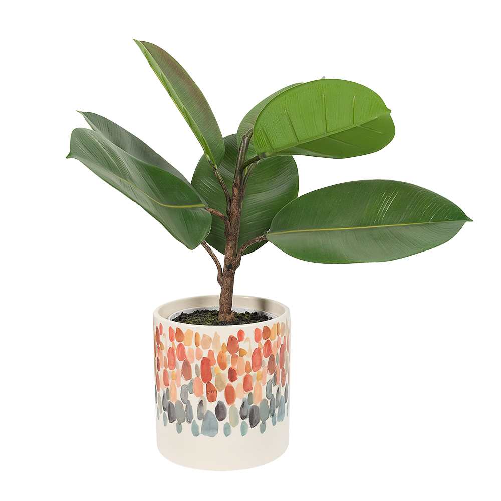 Cache-pot couleurs 5 1/8 po VERTUO