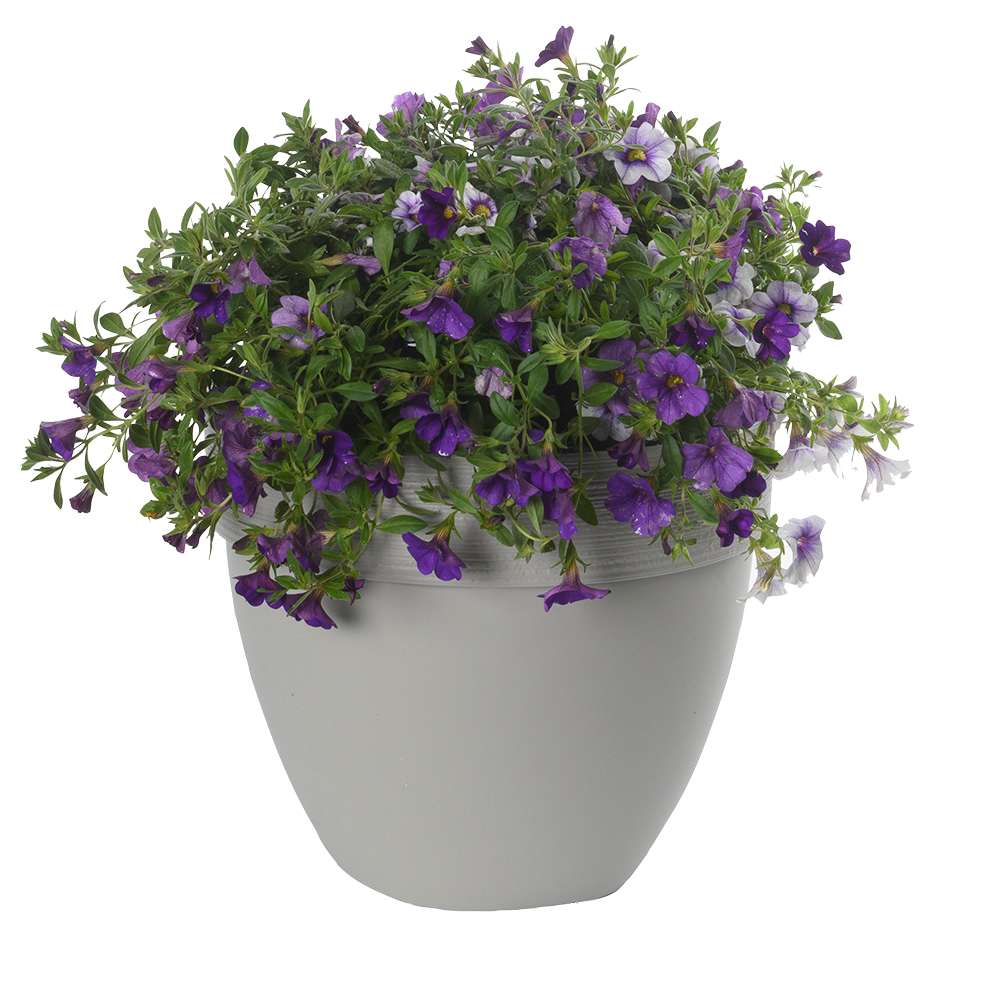 Pot à fleurs Ovo 10 1/8 po VERTUO