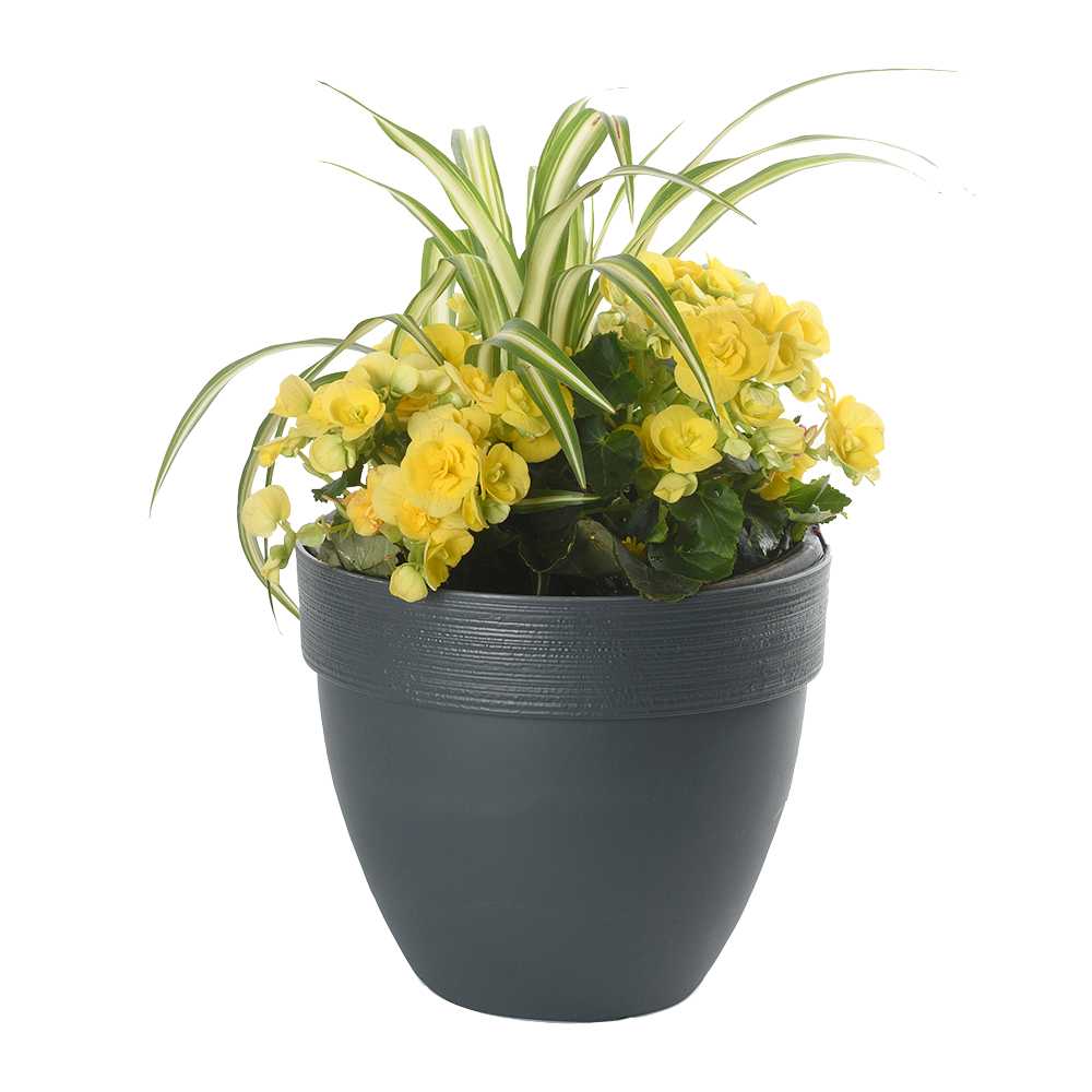 VERTUO Ovo Flower Pot 10 1/8 in.