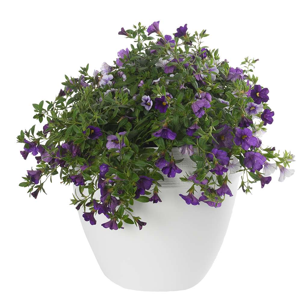 Pot à fleurs Ovo 10 1/8 po VERTUO