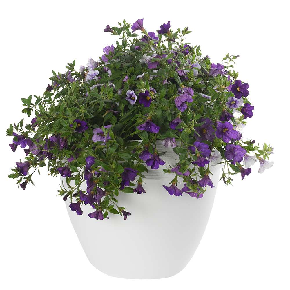 Pot à fleurs Ovo 12 1/8 po VERTUO