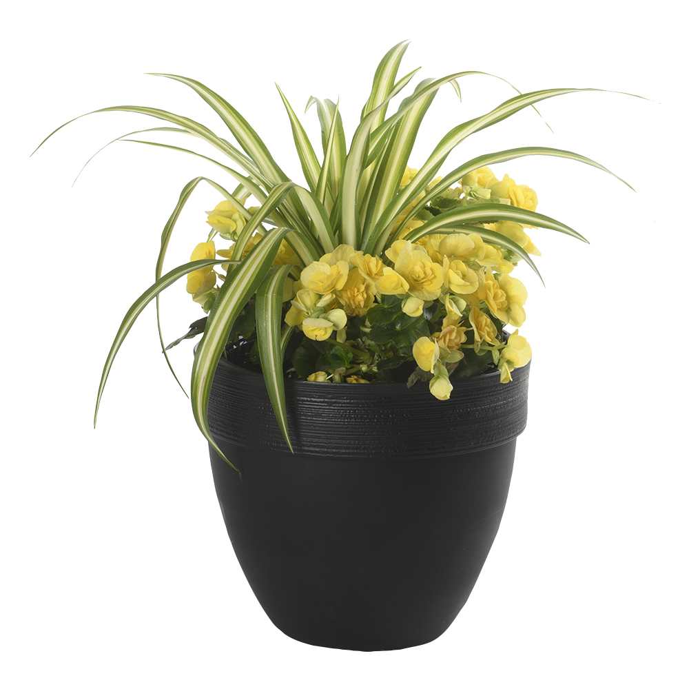 Pot à fleurs Ovo 12 1/8 po VERTUO