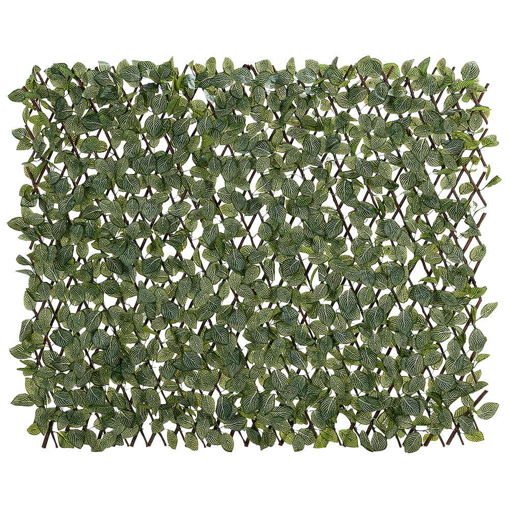 Treillis extensible à feuillage Fittonia 39 po&nbsp;x&nbsp;79&nbsp;po VERTUO