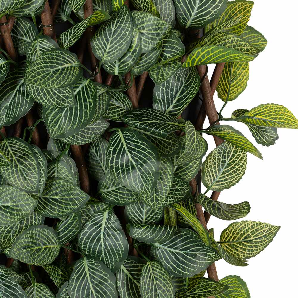 Treillis extensible à feuillage Fittonia 39 po&nbsp;x&nbsp;79&nbsp;po VERTUO