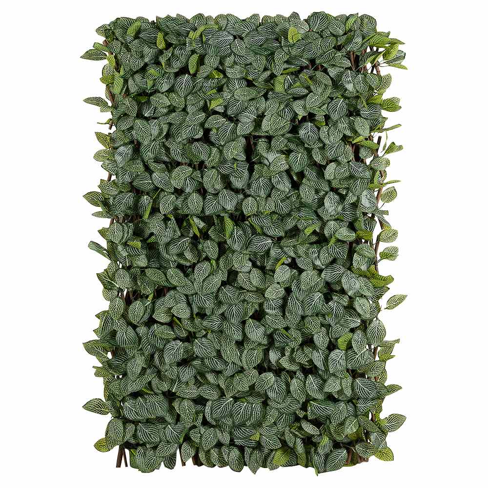 Treillis extensible à feuillage Fittonia 39 po&nbsp;x&nbsp;79&nbsp;po VERTUO
