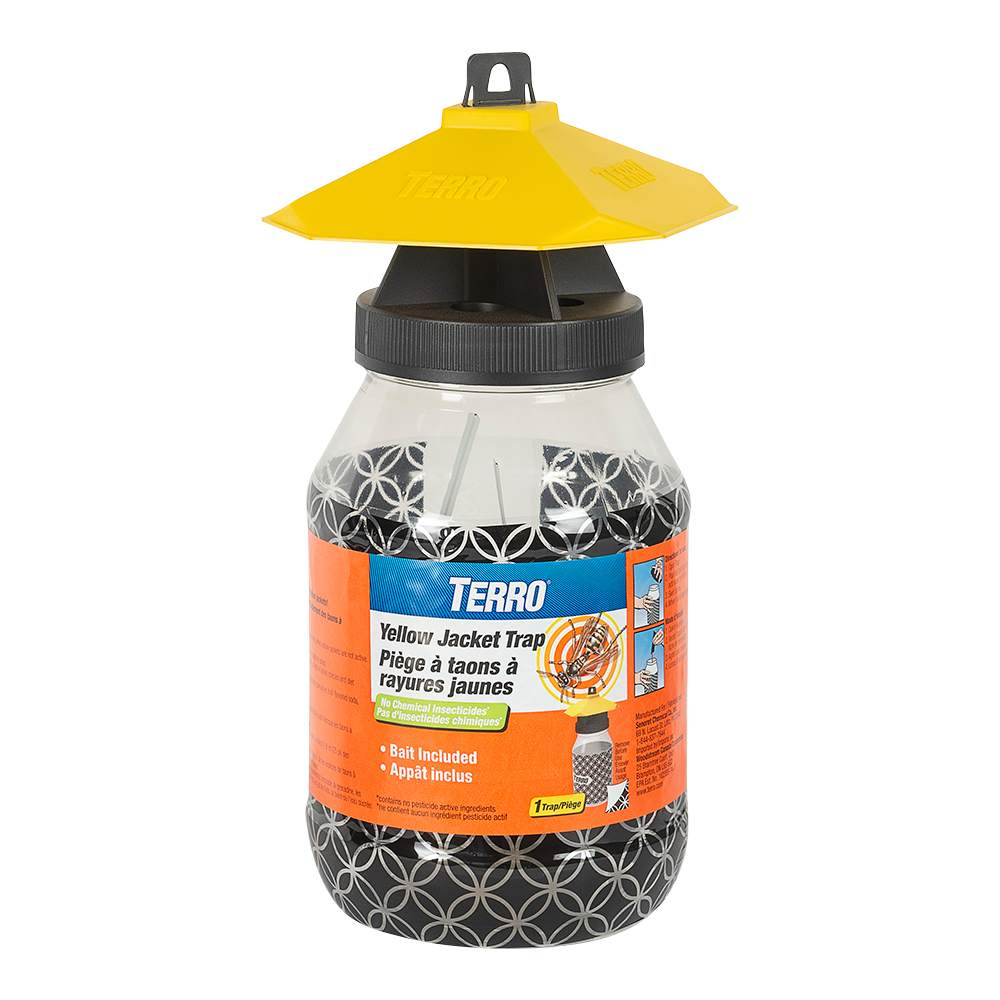 Yellow Jacket Trap