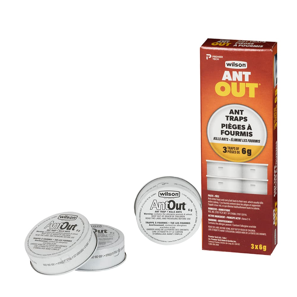 Pièges à fourmis Pqt/3
