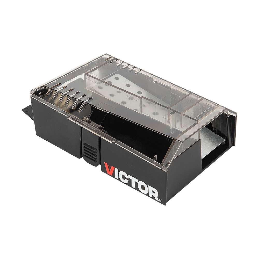 Piège à souris Catch & Hold