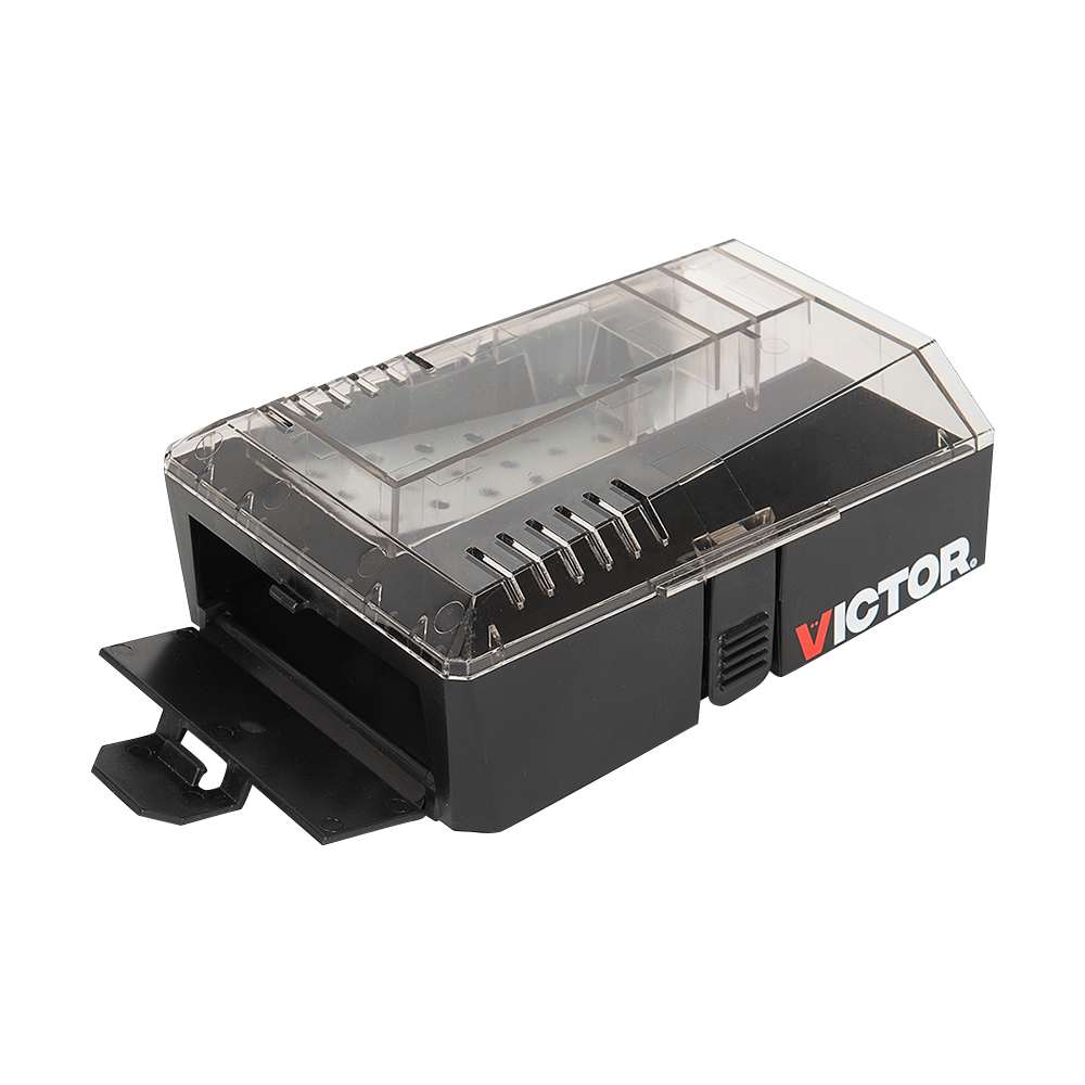 Catch & Hold Mouse Trap