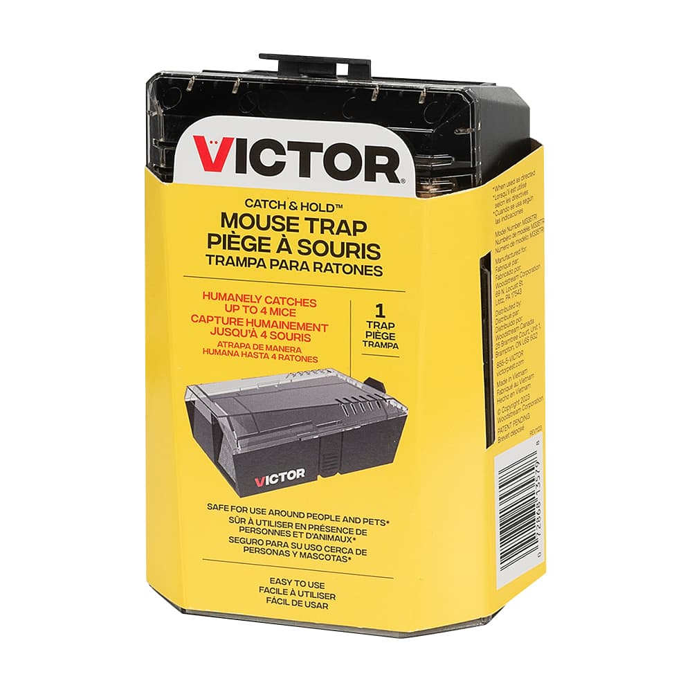 Catch & Hold Mouse Trap