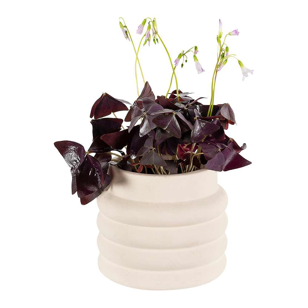 Cache-pot Grenze 5 1/2 po VERTUO