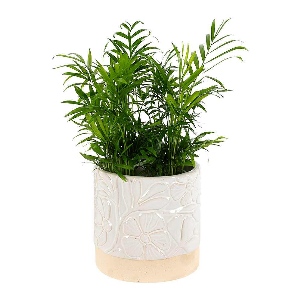 Cache-pot Floral 6 1/8 po VERTUO