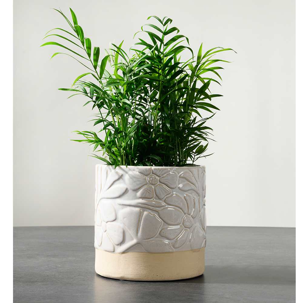 Cache-pot Floral 6 1/8 po VERTUO