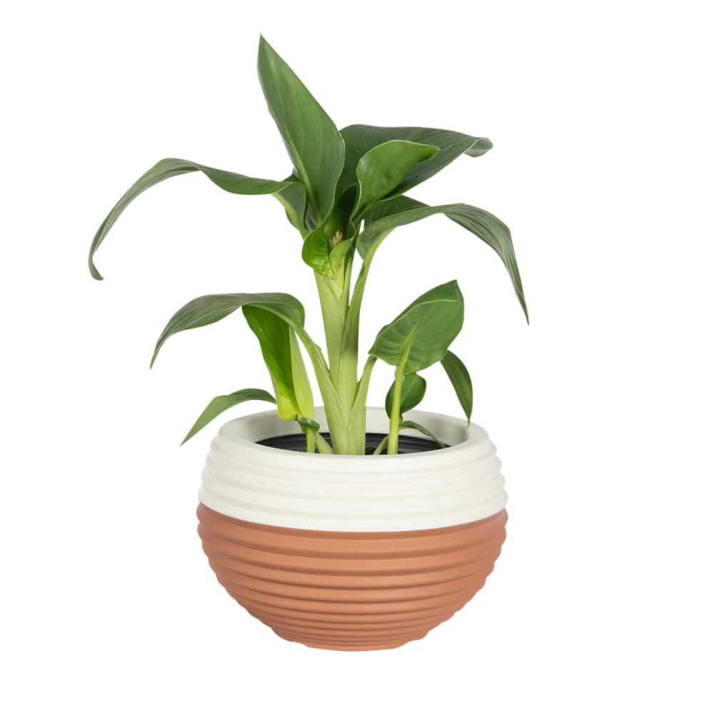 Pot à fleurs léger Alfredo 11 3/8 po VERTUO