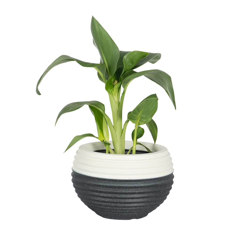 Pot à fleurs léger Alfredo 11 3/8 po VERTUO