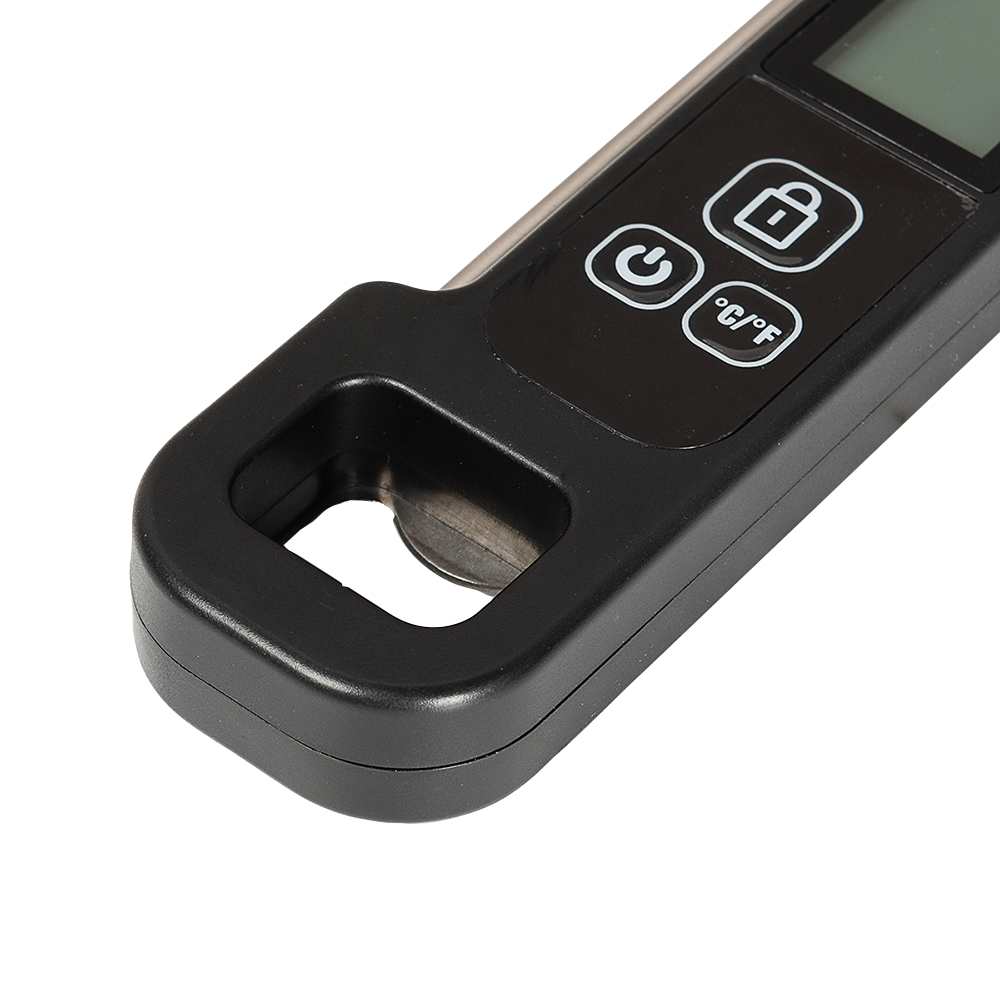 Thermomètre de cuisson numérique