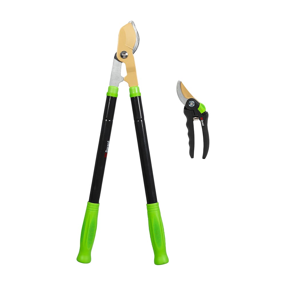 GARANT Set of 2 Cutting Tools