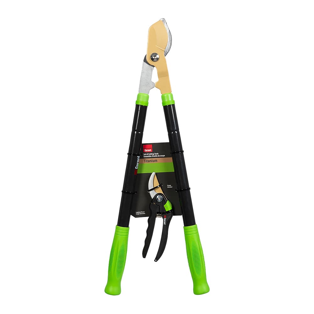 GARANT Set of 2 Cutting Tools