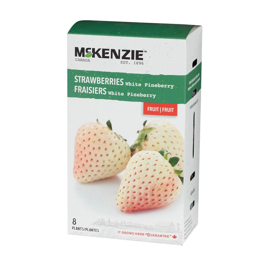 White Pinebery Strawberries Pkg/8 plants