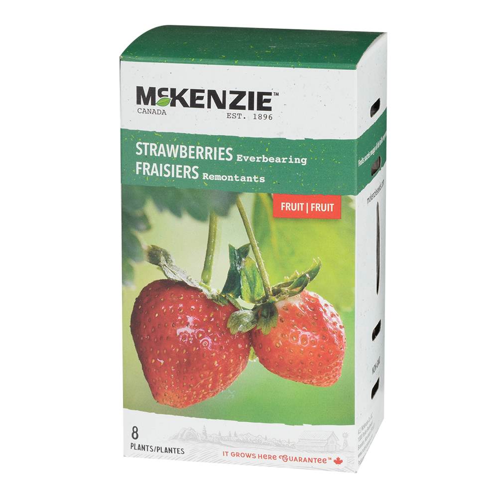 Strawberries Everbearing Plants Pkg/8