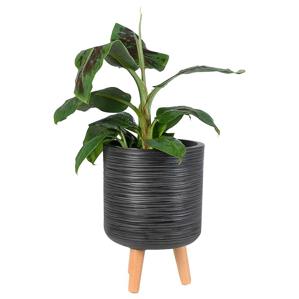 Cache-pot sur pieds noir&nbsp;antique 9&nbsp;1/2&nbsp;po VERTUO