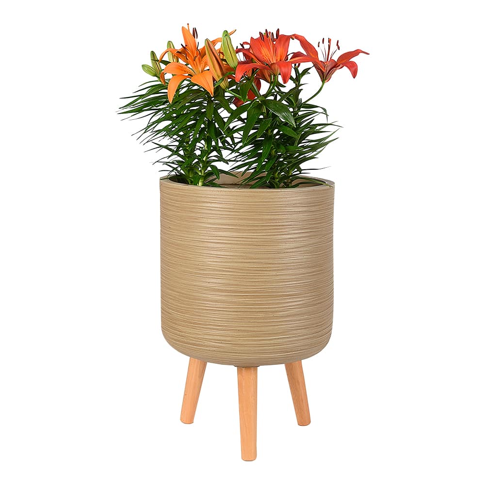 VERTUO Standing Pot Cover 11&nbsp;3/4&nbsp;in.&nbsp;Beige