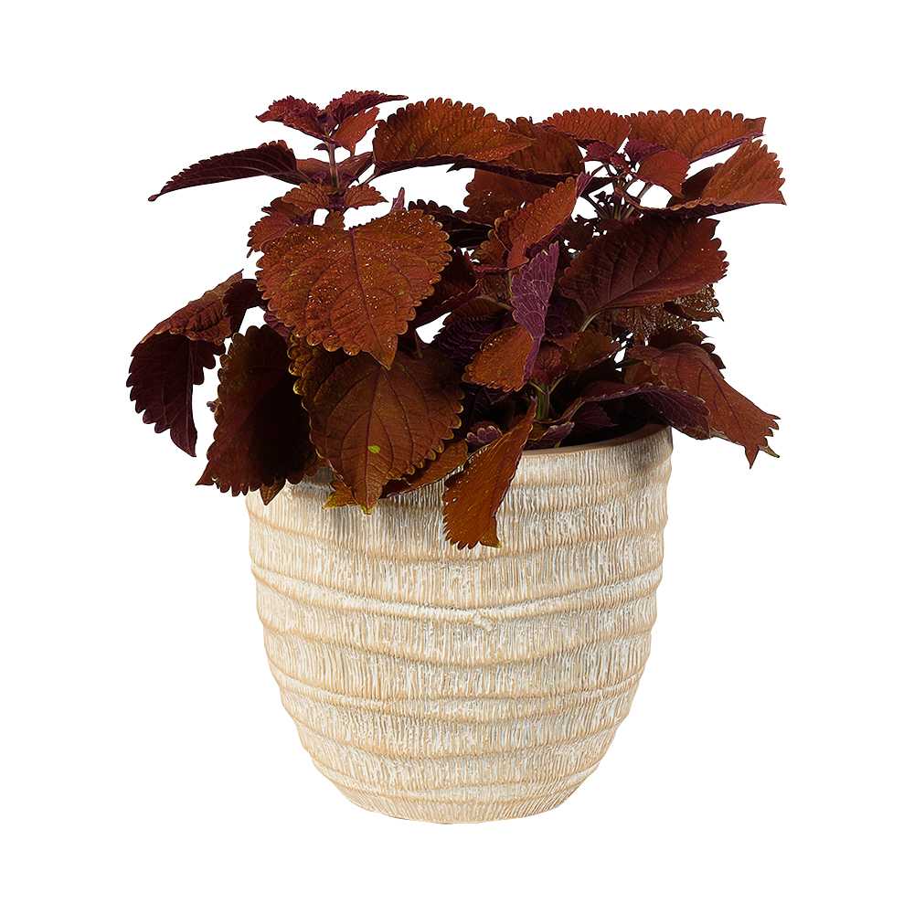 Cache-pot effet bambou beige 11 1/4  po VERTUO