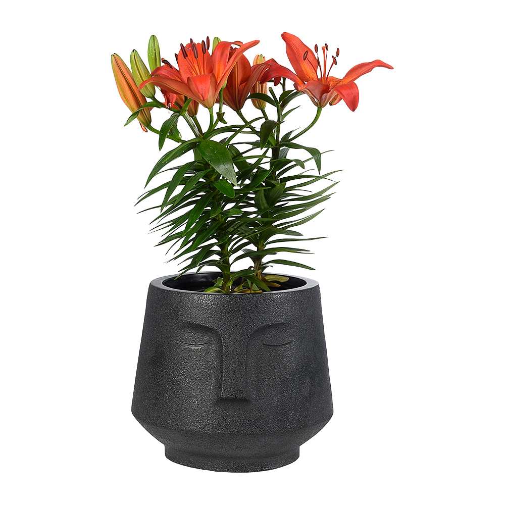 Cache-pot visage noir 9 1/2 po VERTUO