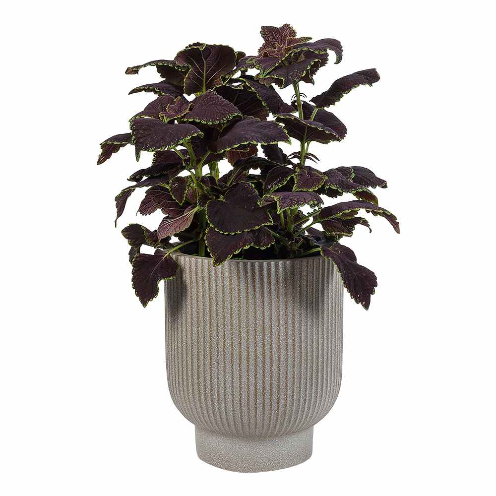 Pot à fleurs rainuré 9 1/2 po grège VERTUO