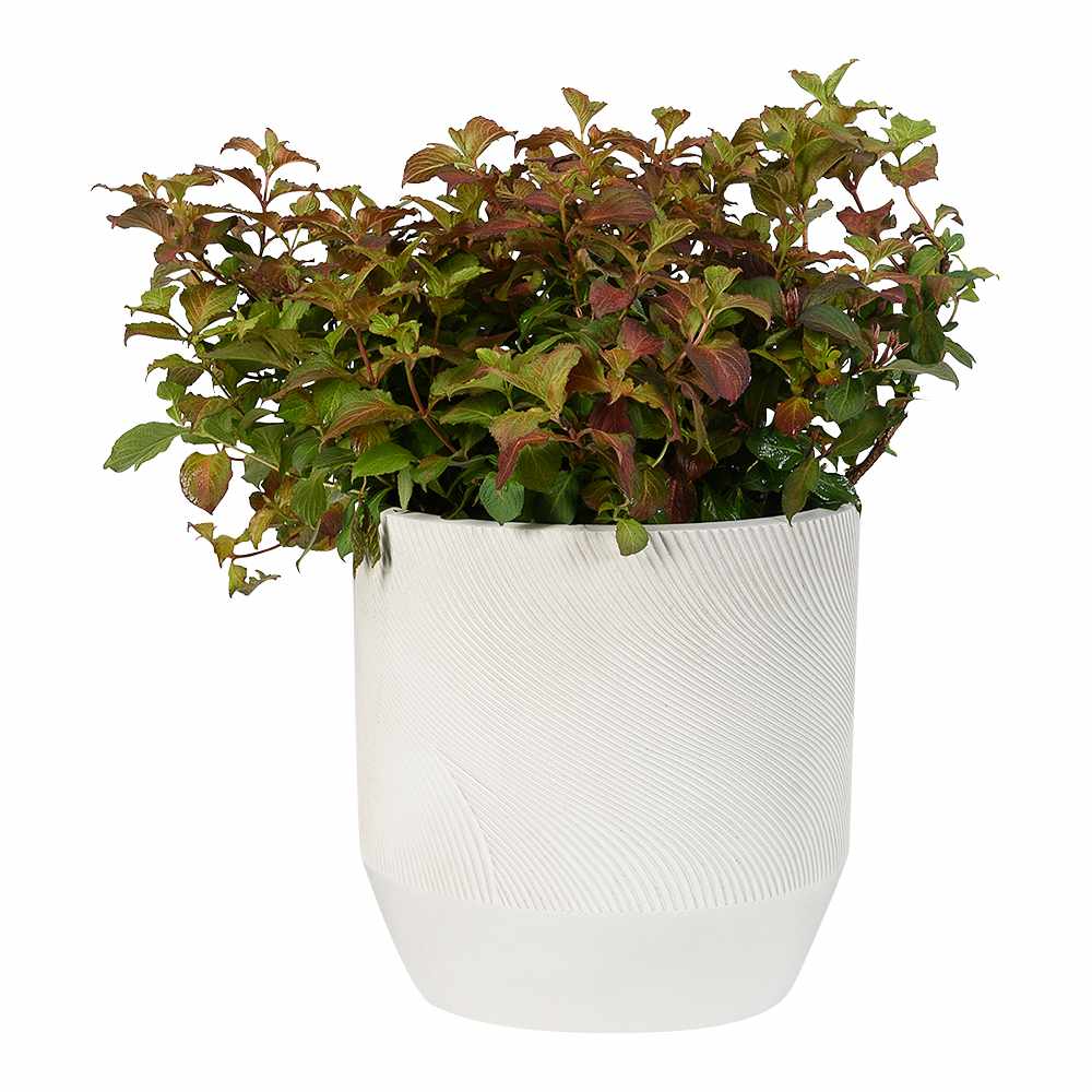 VERTUO Curved Lines Flower Pot 11&nbsp;3/4&nbsp;in White