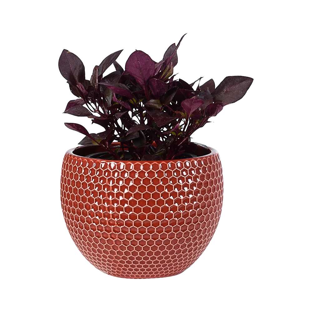 Cache-pot motif hexagonal 5 1/2 po rouge VERTUO