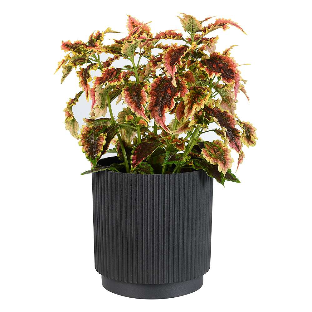 Pot à fleurs rainuré 9 7/8 po noir VERTUO