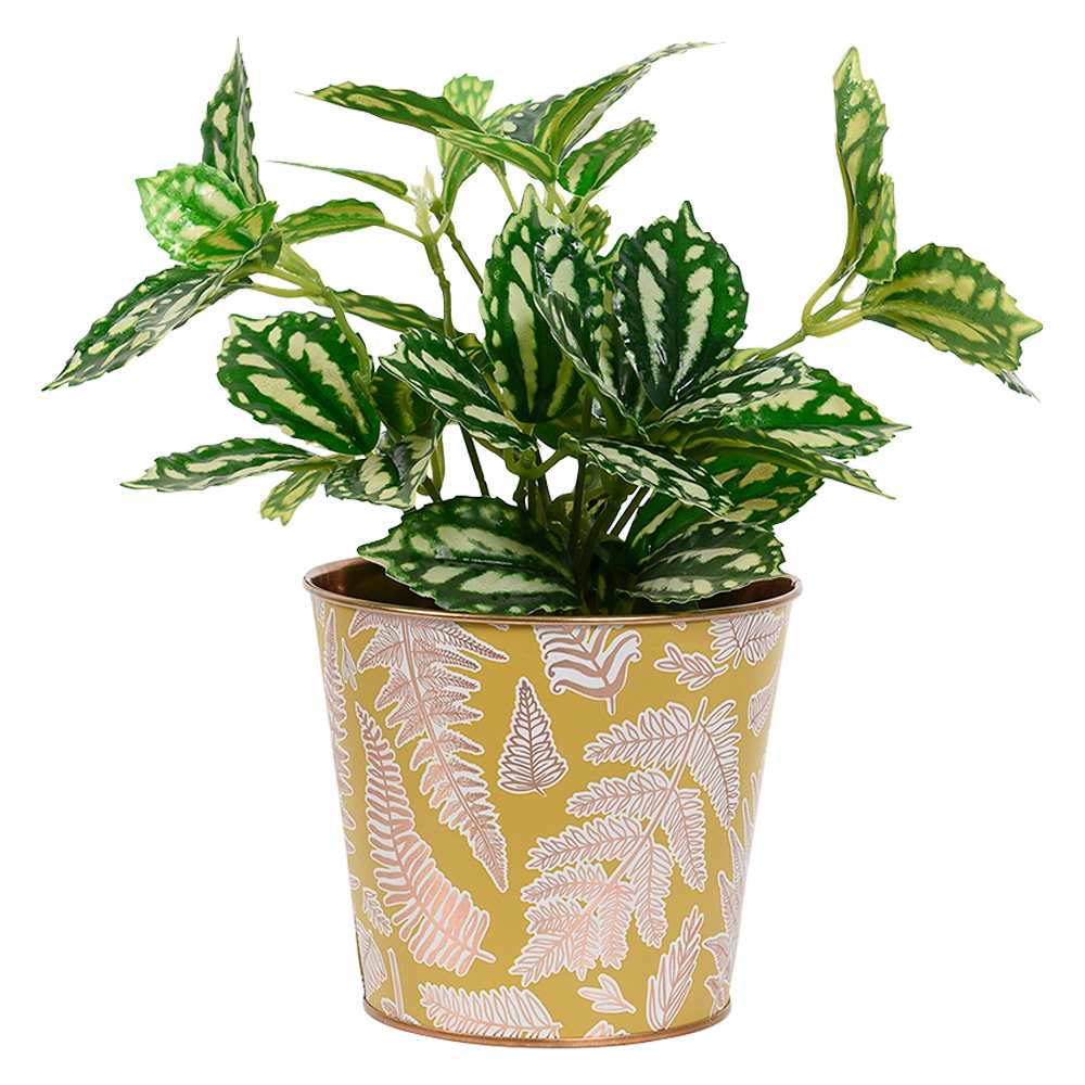 VERTUO Metallic Pot Cover Fern 6&nbsp;7/8&nbsp;in