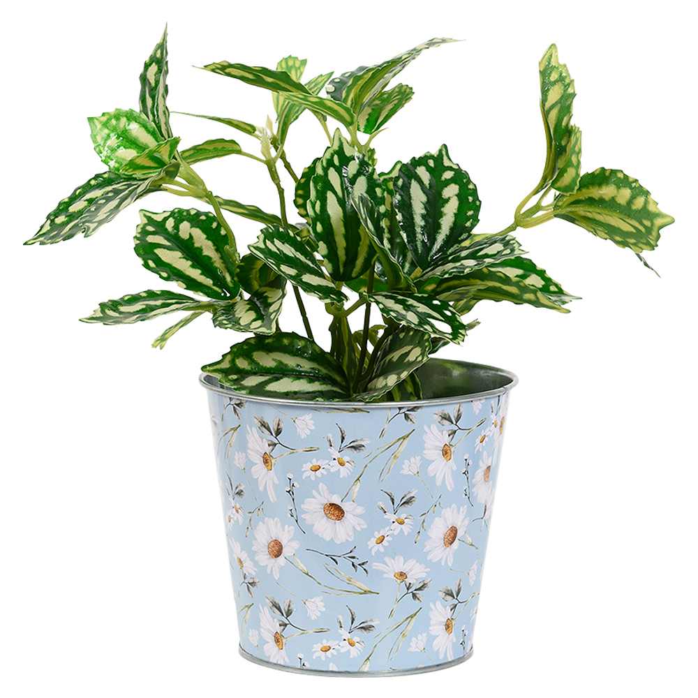 Cache-pot métallique Marguetites 6&nbsp;7/8&nbsp;po VERTUO