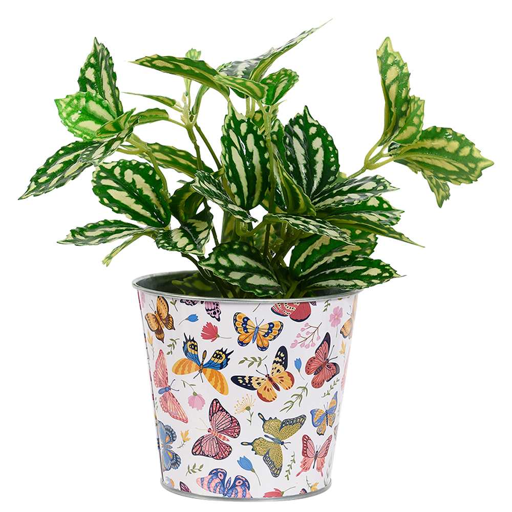 Cache-pot métallique Papillons 6&nbsp;7/8&nbsp;po VERTUO