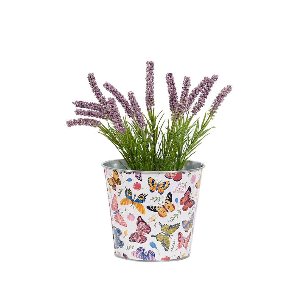 Cache-pot métallique Papillons 5&nbsp;1/8&nbsp;po VERTUO