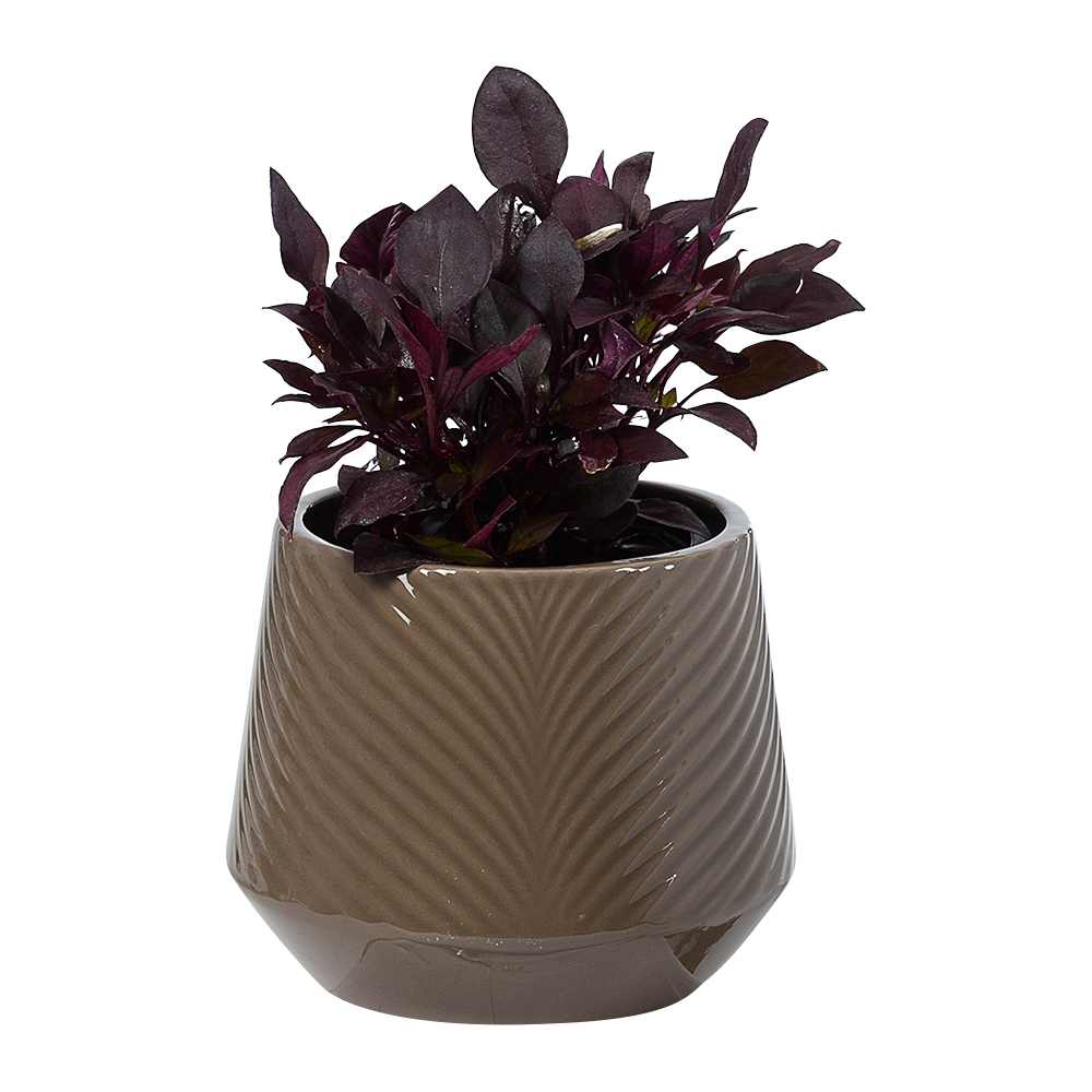 Cache-pot Chevron taupe 5 3/8 po VERTUO