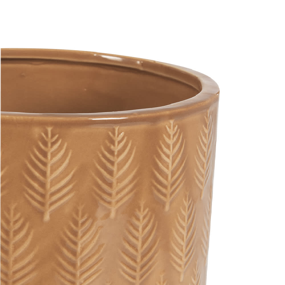 Cache-pot conifères 5&nbsp;1/4&nbsp;po VERTUO