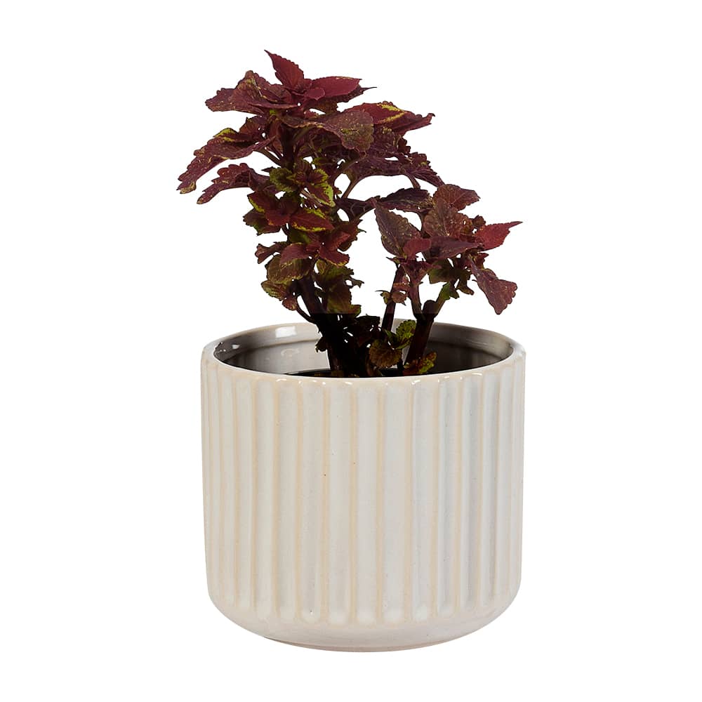 VERTUO Vertical-Groove Plant Pot Cover 5 1/2 in White