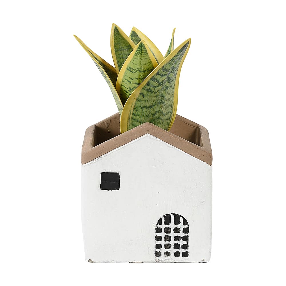 Cache-pot en ciment Maison 4&nbsp;3/8&nbsp;po ASTELLA