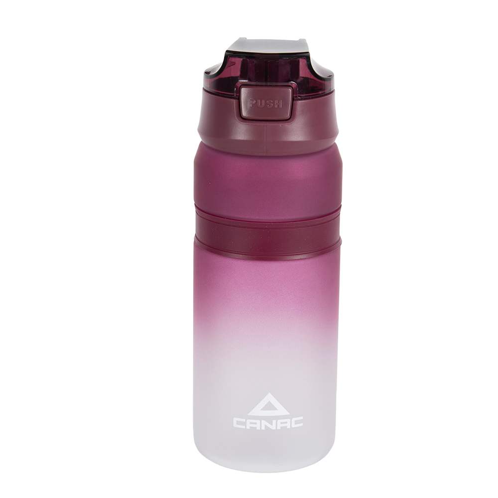 CANAC Burgundy Water Bottle with Straw 700 ml