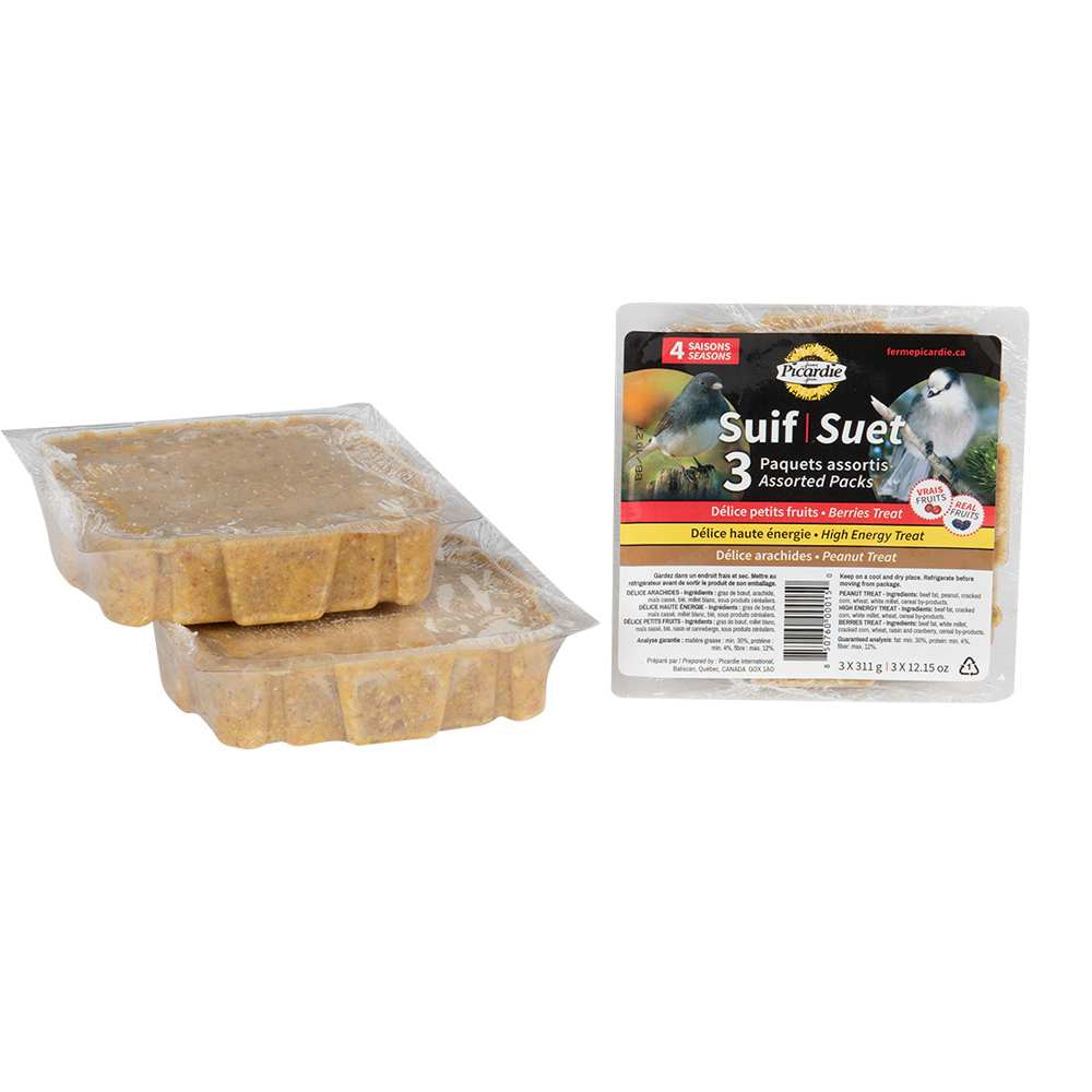 Suet Blocks for Wild Birds Pkg/3