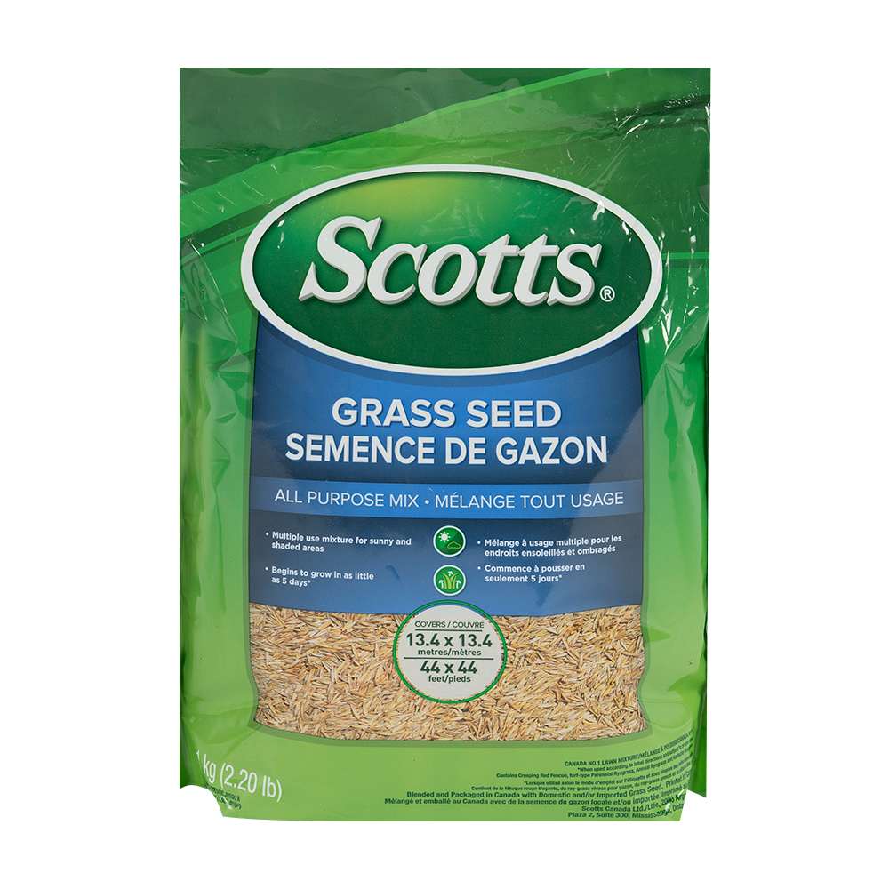 Semences à gazon tout usage 1 kg