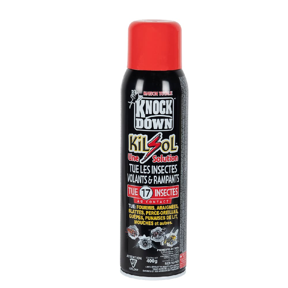 Insecticide Knock Down Kilsol pour insectes volants et rampants 400&nbsp;g