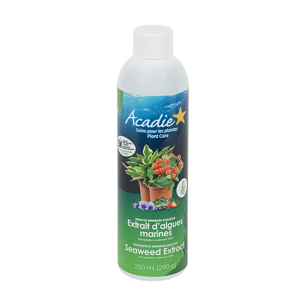 Fresh Seaweed Concentrate 250 ml
