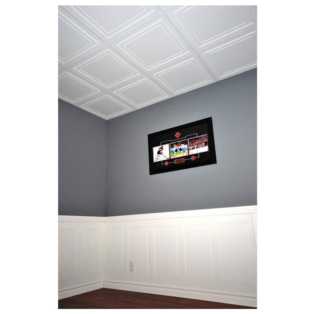 Panneaux à plafond Encore 2&nbsp;pi&nbsp;x&nbsp;2&nbsp;pi Pqt/8